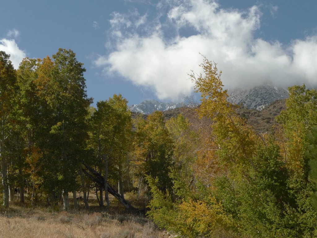 California-Fall2010 578.JPG